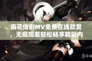 麻花传剧MV免费在线欣赏，无痕观看轻松畅享精彩内容