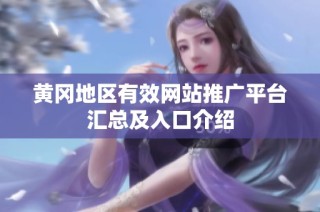 黄冈地区有效网站推广平台汇总及入口介绍