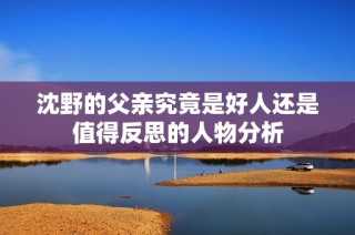 沈野的父亲究竟是好人还是值得反思的人物分析