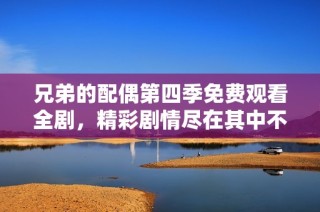 兄弟的配偶第四季免费观看全剧，精彩剧情尽在其中不容错过