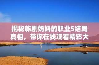 揭秘韩剧妈妈的职业5结局真相，带你在线观看精彩大结局解析