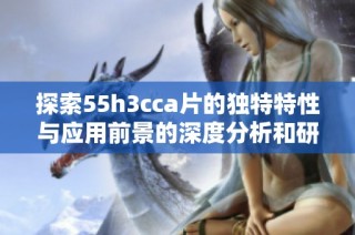 探索55h3cca片的独特特性与应用前景的深度分析和研究