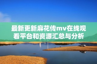 最新更新麻花传mv在线观看平台和资源汇总与分析