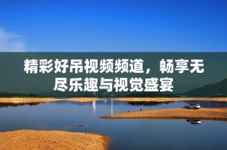 精彩好吊视频频道，畅享无尽乐趣与视觉盛宴