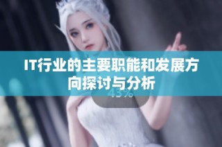 IT行业的主要职能和发展方向探讨与分析