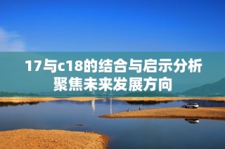 17与c18的结合与启示分析聚焦未来发展方向