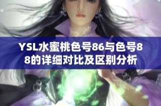 YSL水蜜桃色号86与色号88的详细对比及区别分析