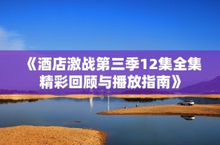 《酒店激战第三季12集全集精彩回顾与播放指南》