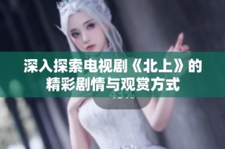 深入探索电视剧《北上》的精彩剧情与观赏方式
