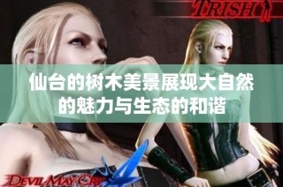 仙台的树木美景展现大自然的魅力与生态的和谐