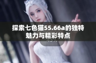 探索七色猫55.66a的独特魅力与精彩特点