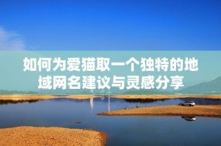 如何为爱猫取一个独特的地域网名建议与灵感分享