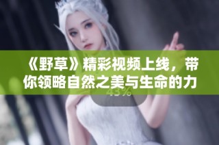 《野草》精彩视频上线，带你领略自然之美与生命的力量