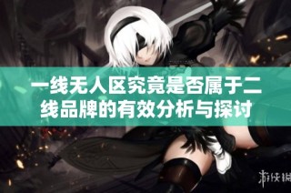 一线无人区究竟是否属于二线品牌的有效分析与探讨