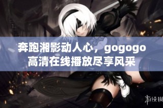 奔跑湘影动人心，gogogo高清在线播放尽享风采