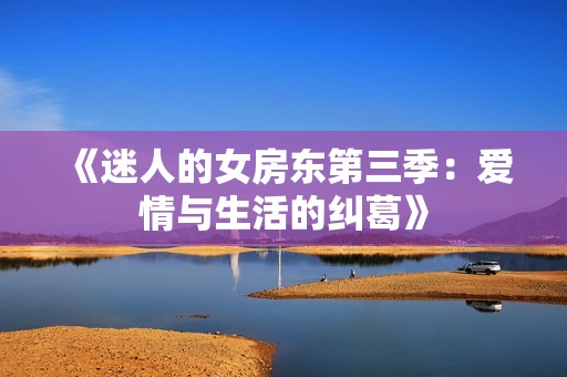 《迷人的女房东第三季：爱情与生活的纠葛》