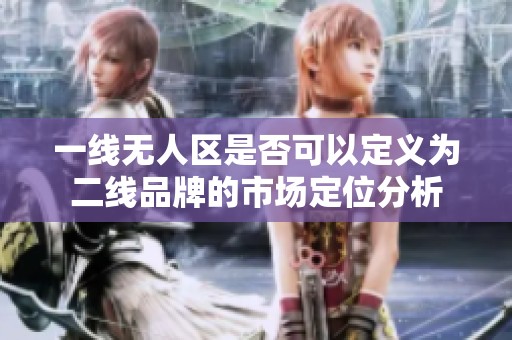 一线无人区是否可以定义为二线品牌的市场定位分析