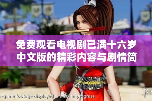 免费观看电视剧已满十六岁中文版的精彩内容与剧情简介