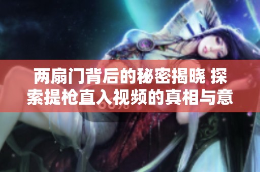 两扇门背后的秘密揭晓 探索提枪直入视频的真相与意义