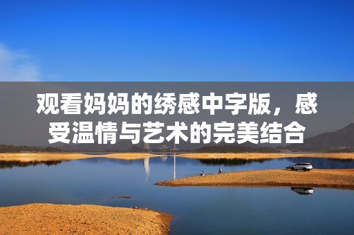 观看妈妈的绣感中字版，感受温情与艺术的完美结合