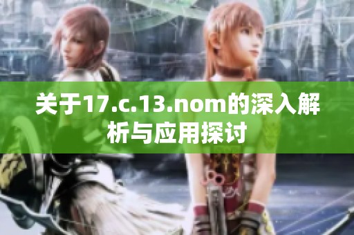 关于17.c.13.nom的深入解析与应用探讨
