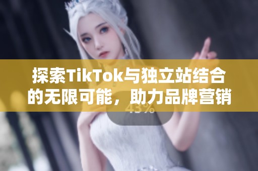 探索TikTok与独立站结合的无限可能，助力品牌营销新境界