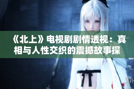 《北上》电视剧剧情透视：真相与人性交织的震撼故事探索之旅