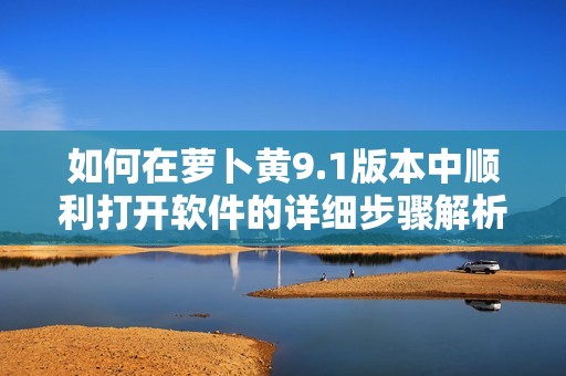 如何在萝卜黄9.1版本中顺利打开软件的详细步骤解析
