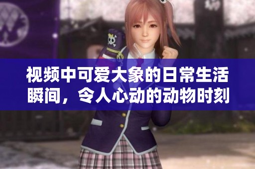 视频中可爱大象的日常生活瞬间，令人心动的动物时刻记录