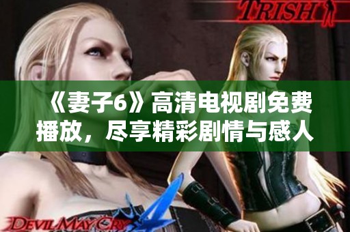 《妻子6》高清电视剧免费播放，尽享精彩剧情与感人故事