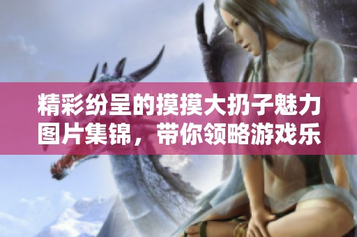 精彩纷呈的摸摸大扔子魅力图片集锦，带你领略游戏乐趣