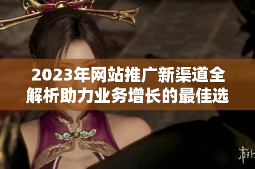 2023年网站推广新渠道全解析助力业务增长的最佳选择