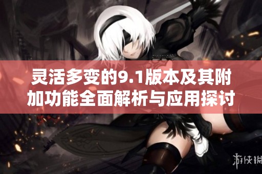 灵活多变的9.1版本及其附加功能全面解析与应用探讨