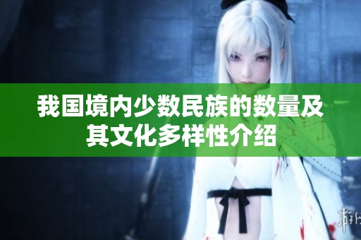 我国境内少数民族的数量及其文化多样性介绍