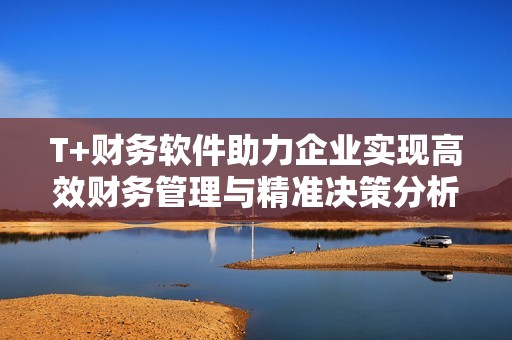 T+财务软件助力企业实现高效财务管理与精准决策分析