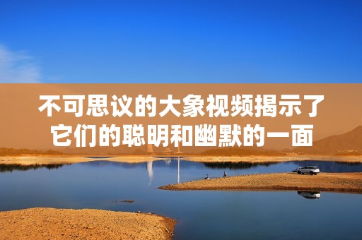 不可思议的大象视频揭示了它们的聪明和幽默的一面