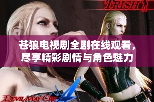 苍狼电视剧全剧在线观看，尽享精彩剧情与角色魅力