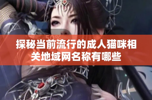 探秘当前流行的成人猫咪相关地域网名称有哪些