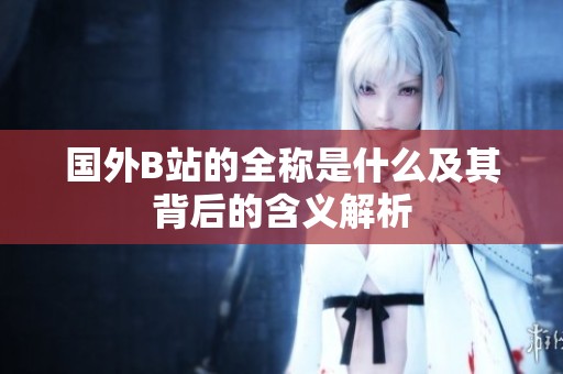 国外B站的全称是什么及其背后的含义解析