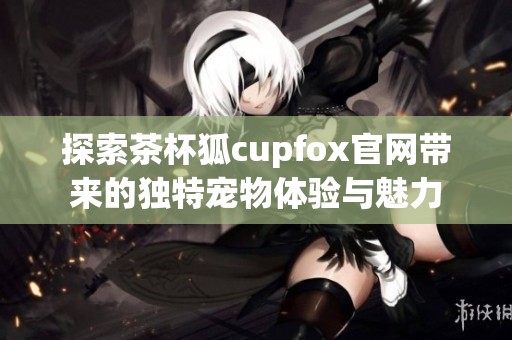 探索茶杯狐cupfox官网带来的独特宠物体验与魅力
