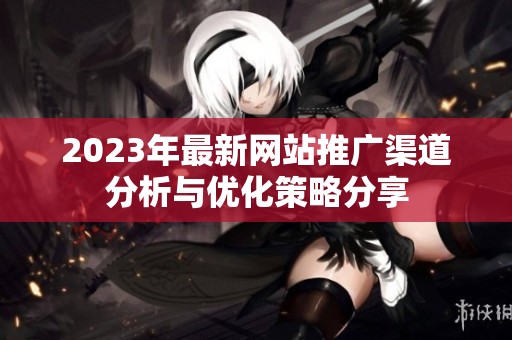 2023年最新网站推广渠道分析与优化策略分享