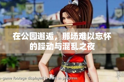 在公园邂逅，那场难以忘怀的躁动与混乱之夜
