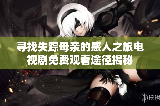 寻找失踪母亲的感人之旅电视剧免费观看途径揭秘