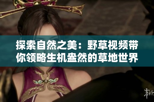 探索自然之美：野草视频带你领略生机盎然的草地世界