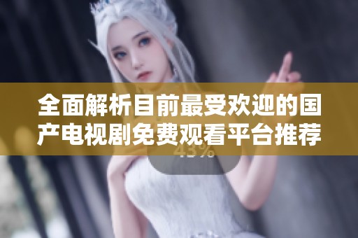 全面解析目前最受欢迎的国产电视剧免费观看平台推荐