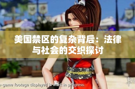 美国禁区的复杂背后：法律与社会的交织探讨