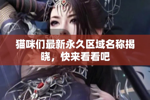 猫咪们最新永久区域名称揭晓，快来看看吧