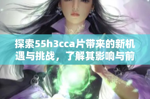 探索55h3cca片带来的新机遇与挑战，了解其影响与前景分析