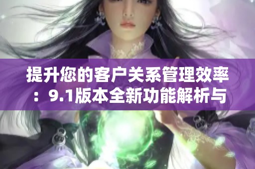 提升您的客户关系管理效率：9.1版本全新功能解析与应用指南