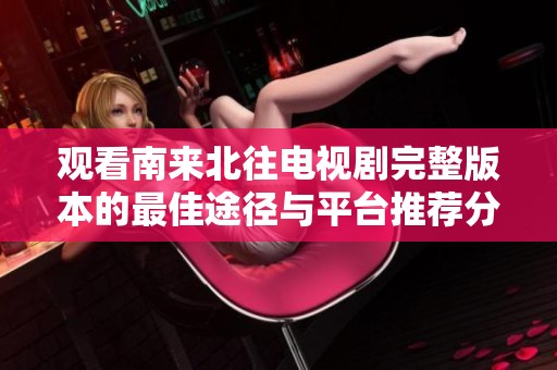 观看南来北往电视剧完整版本的最佳途径与平台推荐分析